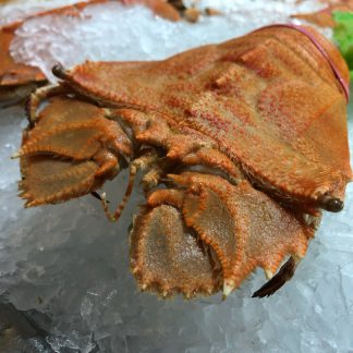 Ws Crustaceans Frozen Weigh