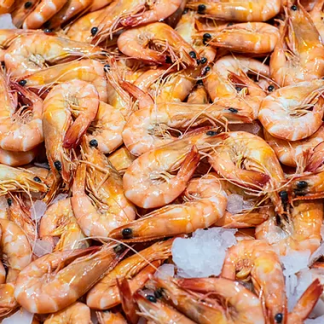 Prawns